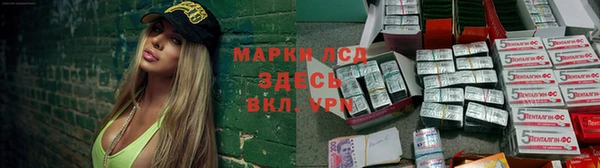 гидра Аркадак