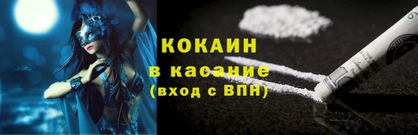 гидра Аркадак