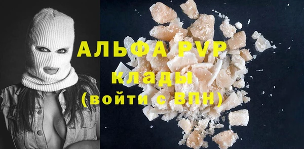гидра Аркадак