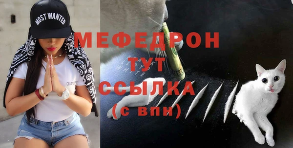 гидра Аркадак