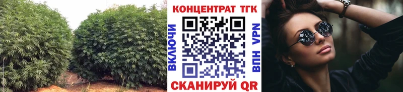 ТГК концентрат Белово