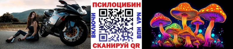 Псилоцибиновые грибы Magic Shrooms  Белово 